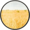 Lustro rolnicze panoramiczne promień 290 fi15-24